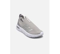 adidas sportswear CLOUDFOAM FLEX - SO W 37 1/3 Gris