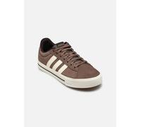 adidas sportswear DAILY 4.0 W M 39 1/3 Marrón
