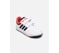 adidas sportswear Hoops 3.0 Cf C 33 Blanco