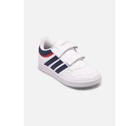adidas sportswear Hoops 4.0 Cf C 33 Azul