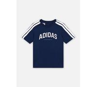 adidas sportswear J C COLLEG TEE 9A - 10A Azul