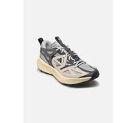 adidas sportswear Kantai Trail 40 2/3 Gris