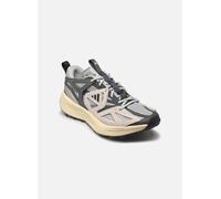 adidas sportswear Kantai Trail 41 1/3 Gris