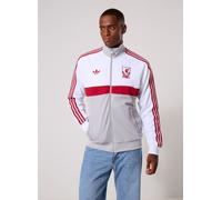 adidas sportswear LFC OG2 TT M Gris