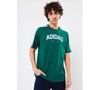 adidas sportswear M C COLLEG TEE M Verde