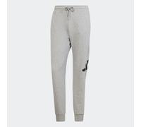 ADIDAS SPORTSWEAR Pantalón deportivo 'ESSENTIALS BIG LOGO FRENCH TERRY' antracita / gris claro M EUR