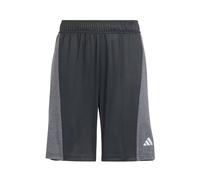 ADIDAS SPORTSWEAR Pantalón deportivo 'Training AEROREADY Heather Shorts' gris / negro 164xregular EUR
