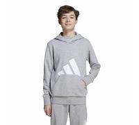 ADIDAS SPORTSWEAR Sudadera con capucha de felpa. Color gris