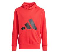 adidas Unisex - Bambini e Ragazzi Essentials Big Logo Hoodie, Pure Ruby/Black, 15-16 Years