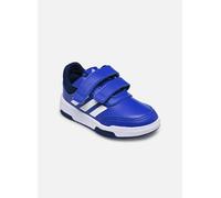 adidas Tensaur Hook And Loop Shoes, Zapatillas Unisex bebé, Lucid Blue Ftwr White Dark Blue, 23 EU