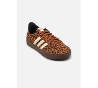 adidas sportswear VL COURT 3.0 38 2/3 Marrón