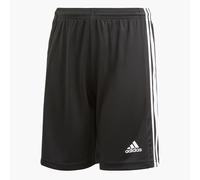 adidas Squad 21 - Negro - Pantalón Corto Fútbol Junior