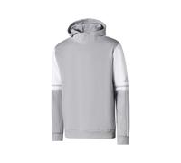 ADIDAS Sudadera con capucha (gris, XL)