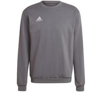 Adidas - Sudadera Entrada 22 Sweat, Unisex, Grey Four, S