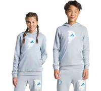 Adidas - Sudadera Jude Bellingham Niño, Unisex, Gris, 152 cm