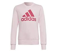 adidas Sudadera Marca Modelo G BL SWT