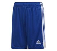 adidas Tastigo19 SHO Sport Shorts, Hombre, Bold Blue/White, 1112Y
