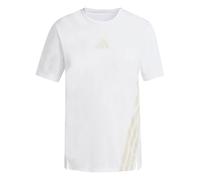 ADIDAS TERREX Camiseta funcional 'Xperior' caqui / blanco XL caqui / blanco