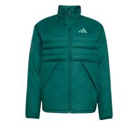 ADIDAS TERREX Chaqueta de montaña 'Multi' pino / verde claro LxTallas normales EUR
