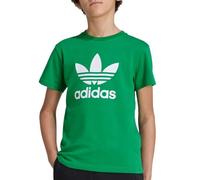 adidas Trefoil - Camiseta para niño, verde, 11-12 Años