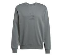 adidas Unisex Adulto Terrex Graphic Crew, Legend Ivy, XL