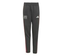 adidas Unisex - Bambini e Ragazzi Audi Formula One Team DNA Pant, Utility Black, 13-14 Years