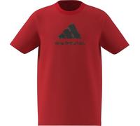 adidas Unisex - Bambini e Ragazzi Camo Graphic T-Shirt Junior, Pure Ruby, 5-6 Years