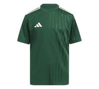 adidas Unisex - Bambini e Ragazzi CAMPEON25 Jersey Kids, Team Dark Green/White, 15-16 Years
