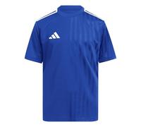 adidas Unisex - Bambini e Ragazzi CAMPEON25 Jersey Kids, Team Royal Blue/White, 7-8 Years