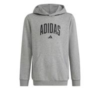 adidas Unisex - Bambini e Ragazzi Codes Collegiate Graphic Hoodie, Medium Grey Heather, 11-12 Years