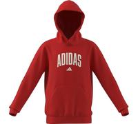 adidas Unisex - Bambini e Ragazzi Codes Collegiate Graphic Hoodie, Pure Ruby, 13-14 Years