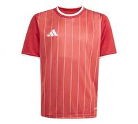 adidas Unisex - Bambini e Ragazzi Entrada26 Graphic Jersey Kids, Team Power Red 2/White, 7-8 Years