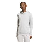 adidas Unisex - Bambini e Ragazzi Entrada26 Hoodie Kids, Team Light Grey/White, 5-6 Years