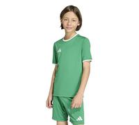 adidas Unisex - Bambini e Ragazzi Entrada26 Jersey Kids, Team Green/White, 11-12 Years