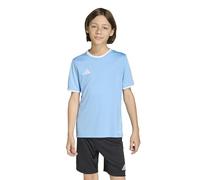 adidas Unisex - Bambini e Ragazzi Entrada26 Jersey Kids, Team Light Blue/White, 5-6 Years