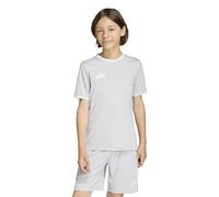 adidas Unisex - Bambini e Ragazzi Entrada26 Jersey Kids, Team Light Grey/White, 9-10 Years