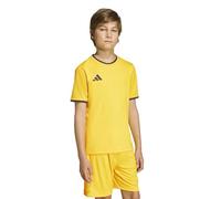adidas Unisex - Bambini e Ragazzi Entrada26 Jersey Kids, Team Yellow/Black, 11-12 Years