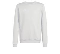 adidas Unisex - Bambini e Ragazzi Entrada26 Sweat Top Kids, Team Light Grey/White, 15-16 Years