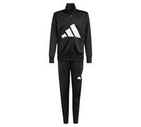 adidas Unisex niños ESSENTIALS BIG LOGO CLIMACOOL TRACKSUIT, black/white, 15-16 Years