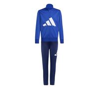 adidas Unisex - Bambini e ragazzi ESSENTIALS BIG LOGO CLIMACOOL TRACKSUIT, team royal blue/white, 15-16 Years