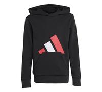 Adidas Unisex - Bambini e Ragazzi Essentials Big Logo Hoodie, Black/Pure Ruby/White, 13-14 Years