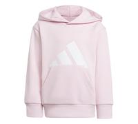 adidas Unisex - Bambini e Ragazzi Essentials Big Logo Hoodie, Clear Pink/White, 4-5 Years