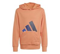 adidas Unisex - Bambini e Ragazzi Essentials Big Logo Hoodie, Dusky Orange/Team Royal Blue/Dark Blue/Aurora Ink, 13-14 Years