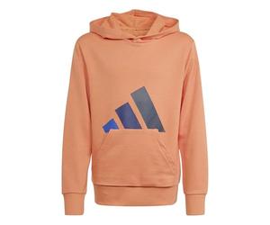 adidas Unisex - Bambini e Ragazzi Essentials Big Logo Hoodie, Dusky Orange/Team Royal Blue/Dark Blue/Aurora Ink, 13-14 Years