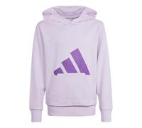 adidas Unisex - Bambini e Ragazzi Essentials Big Logo Hoodie, Ice Lavender/Active Purple, 7-8 Years