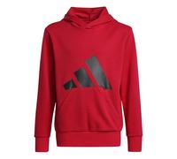adidas Unisex - Bambini e Ragazzi Essentials Big Logo Hoodie, Pure Ruby/Black, 7-8 Years