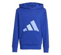 Adidas Unisex - Bambini e Ragazzi Essentials Big Logo Hoodie, Team Royal Blue/Blue Fusion/Glow Blue, 9-10 Years