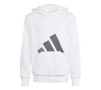 adidas Unisex - Bambini e Ragazzi Essentials Big Logo Hoodie, White/Grey Three/Grey Four/Grey Five, 7-8 Years
