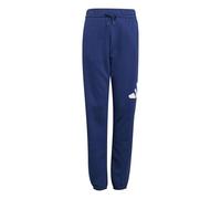adidas Unisex niños Essentials Big Logo Pants, Dark Blue/White, 15-16 Years