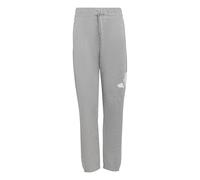 adidas Unisex - Bambini e Ragazzi Essentials Big Logo Pants, Medium Grey Heather/White, 7-8 Years